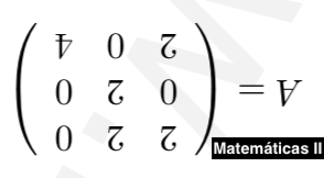 Ejercicio de Matriz Inversa&nbsp;MINV03-II