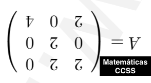 Ejercicio de Matriz Inversa&nbsp;MINV08-CCSS